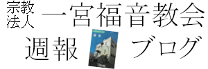 Weekly Report